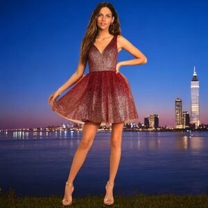 NWT Lulu's Ballerina Dream Burgundy and Gold Skater Dress Size S